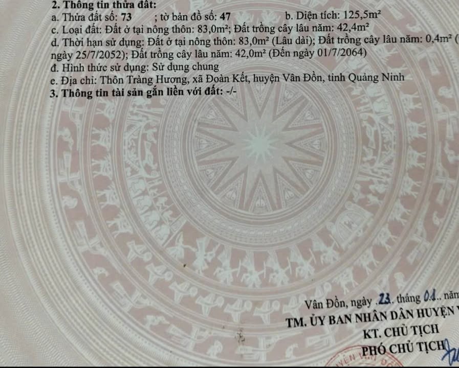 Đất nền Đoàn Kết Vân Đồn 125,5m² giá 788,5 triệu - Cơ hội đầu tư tuyệt vời!