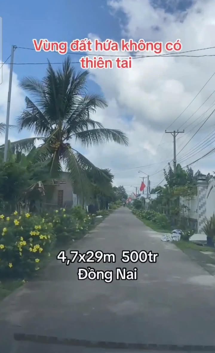 Đất nền Phú Hòa, Định Quán 136m² giá chỉ 500 triệu - Tiềm năng đầu tư lớn!