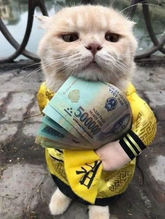 Đất nền Hạ Long 200m² giá 1 tỷ - Mặt tiền rộng, gần bệnh viện