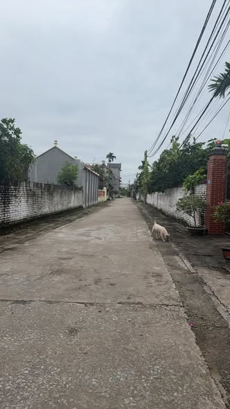 Đất liền thổ cư Phú Châu, Ba Vì 100m² chỉ 1 tỷ - Cơ hội hiếm có!