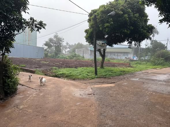 Đất nền Pơng Drang 612m² giá 4.86 tỷ - Đầu tư sinh lời tuyệt vời!