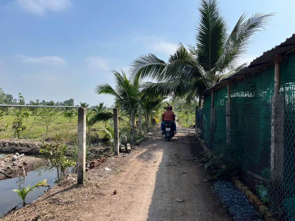 Đất vườn 500m² Ấp 2, Bình Đức, Bến Lức chỉ 330 triệu - Lợi nhuận cao!