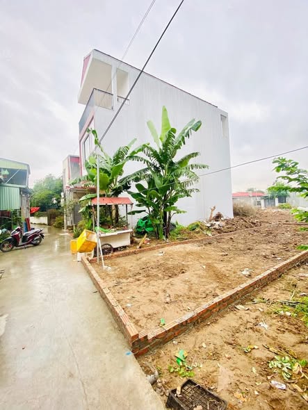 Đất nền Hưng Đạo Hải Phòng 59m² giá 1.4 tỷ - Cơ hội đầu tư tuyệt vời!