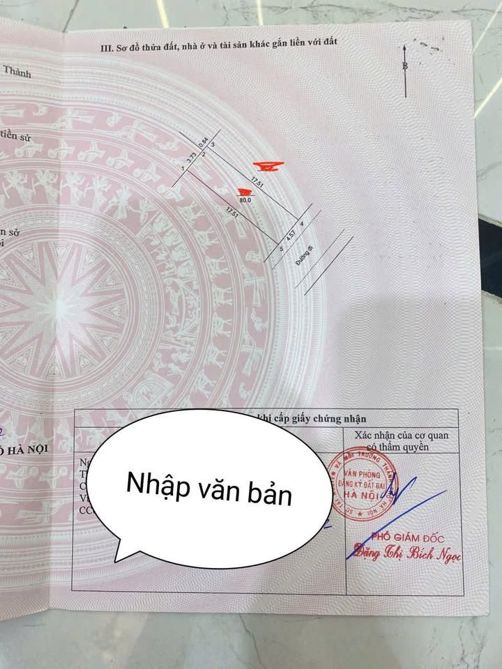 Đất dịch vụ An Thọ, An Khánh 80m² - Sổ đỏ chính chủ, đầu tư sinh lời cao!