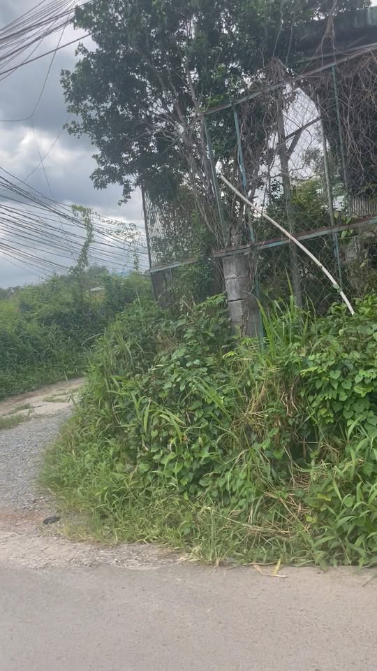 Đất thổ cư Suối Cát 192m² giá chỉ 136 triệu - Cơ hội đầu tư tuyệt vời!