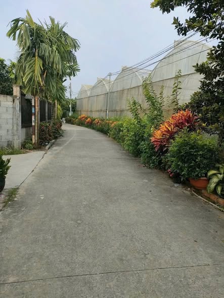 Lô đất vườn Tân Bình - Vĩnh Cửu 852m² giá 5.65 tỷ - Hướng Tây Bắc, view sông tuyệt đẹp!