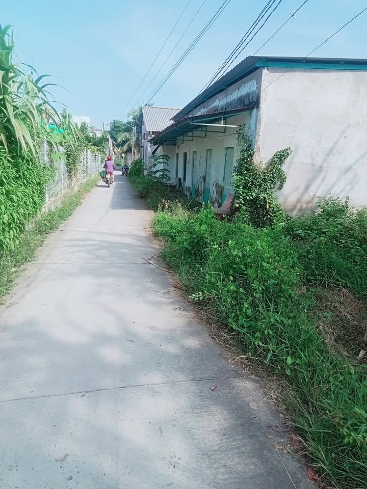 Đất nền 320m² tại thị trấn Cầu Ngang, Trà Vinh - Sổ đỏ chính chủ, giá chỉ 1,6 tỷ!