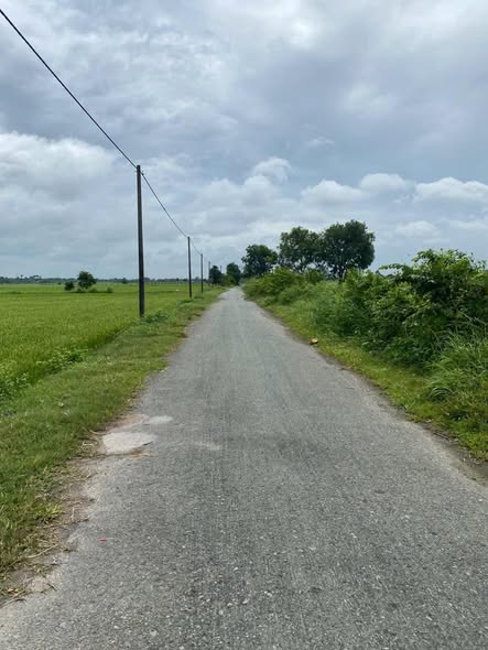 Đất nông nghiệp Thái Mỹ, Củ Chi 2571m² giá 3.34 tỷ - Mặt tiền đường nhựa rộng 68m!