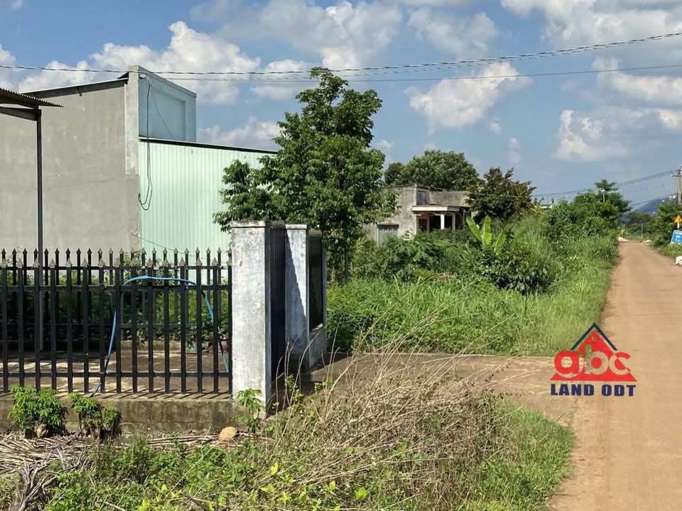 Đất Farm 1007m² xã Bảo Hòa, Xuân Lộc - Giá chỉ 1.05 tỷ, thương lượng!