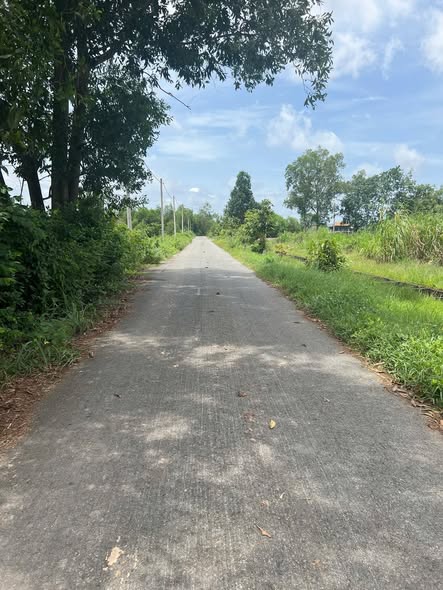 Đất lúa 6155m² Thái Mỹ, Củ Chi - Mặt tiền đường nhựa thông 78m, giá chỉ 6.155 tỷ!