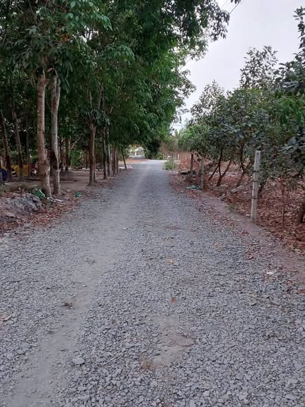 Đất thổ cư An Nhơn Tây, Củ Chi 1400m² giá 4 tỷ - Mặt tiền xe hơi, vườn trái cây