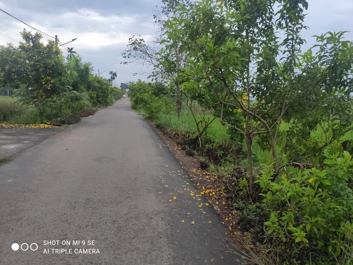 Đất thổ cư 222m² đường 47, Nghĩa Thành, Châu Đức - Giá chỉ 1.4 tỷ!