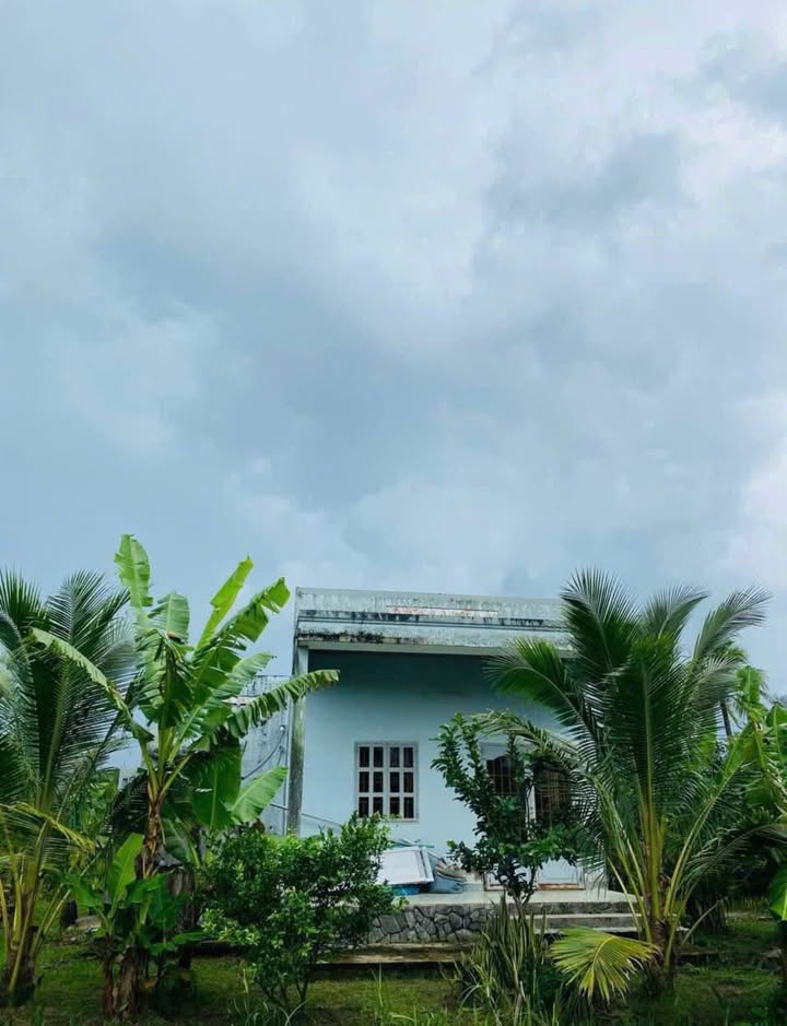 Đất vườn đường Vườn Lài, quận 12, 1002m² giá 165 triệu - Sổ riêng, ô tô vào tận nơi!