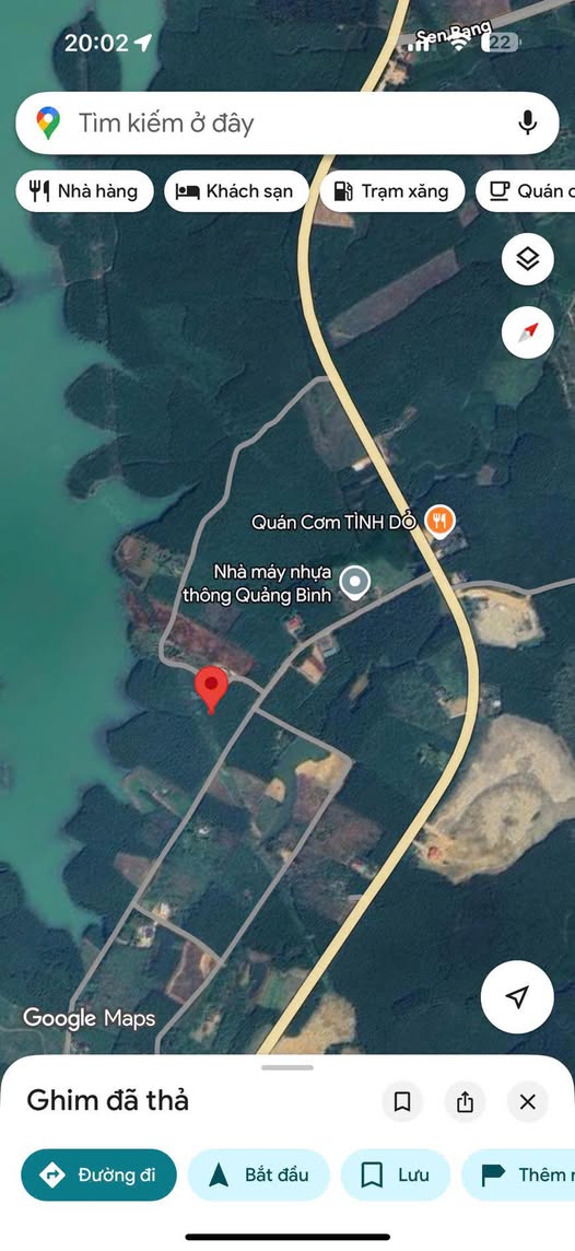 Đất cây lâu năm Thái Thủy, Lệ Thủy 15000m² giá 400 triệu - Pháp lý rõ ràng