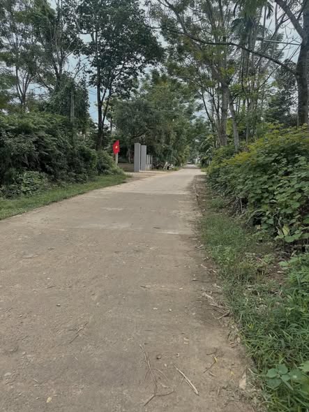 Đất nền mặt tiền đường Bạch Mã, xã Phú Lộc, 137m² - Cơ hội đầu tư hấp dẫn!