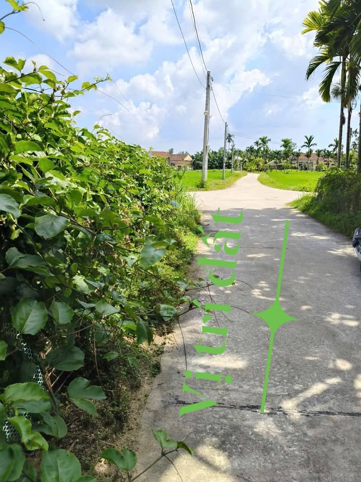 Đất nền góc 200m² tại xã Nguyễn Nghiêm, Đức Phổ - Giá đầu tư hấp dẫn!