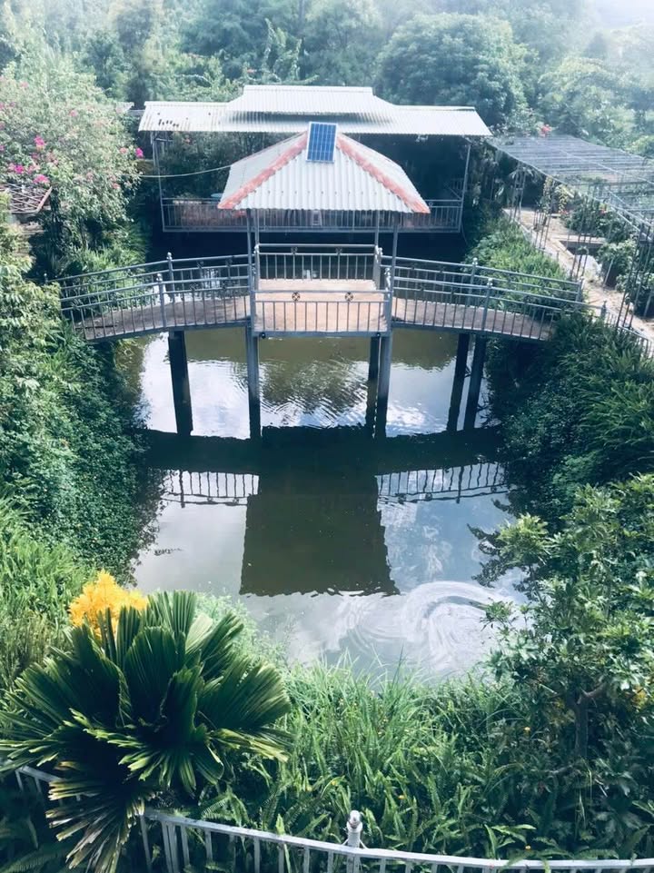 Đất nền Ia Kha 5400m² - View đẹp, sổ đỏ chính chủ, đầu tư sinh lời!