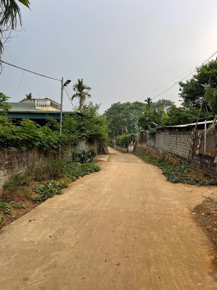 Đất nền Ngọc Mỹ, Tân Lạc, Hoà Bình 5725m² giá 3 tỷ - Vị trí cực đẹp, cơ hội đầu tư hiếm có!