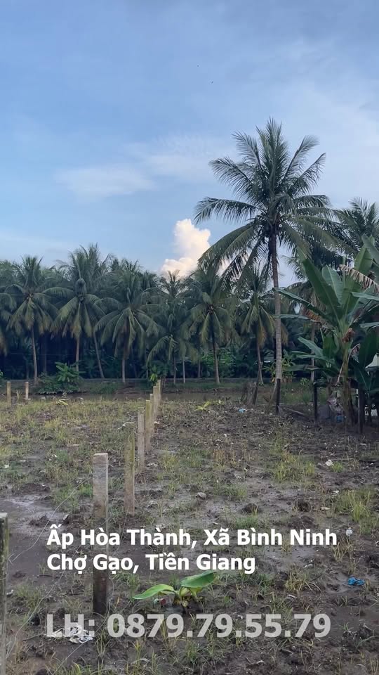 Đất nền tại ấp Hòa Thành, xã Bình Ninh 176.9m² giá 325 triệu - Phong thủy tốt, giá rẻ!