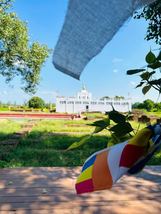 Căn hộ Eco Green Sài Gòn Quận 7 - 2-3 phòng ngủ, giá từ 13.5 triệu, vào ở ngay!