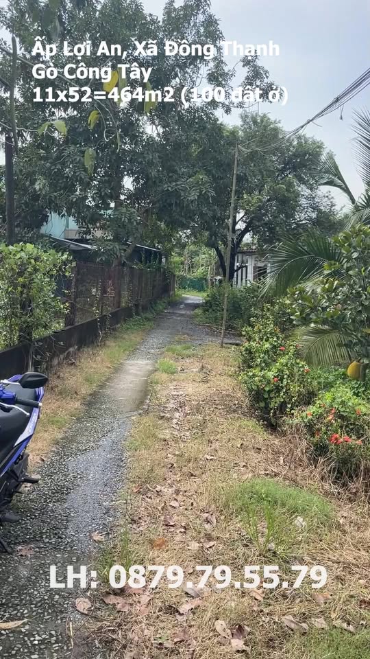 Đất kèm nhà cấp 4 Lợi An, Gò Công Tây 464m² - Giá chỉ 750 triệu!