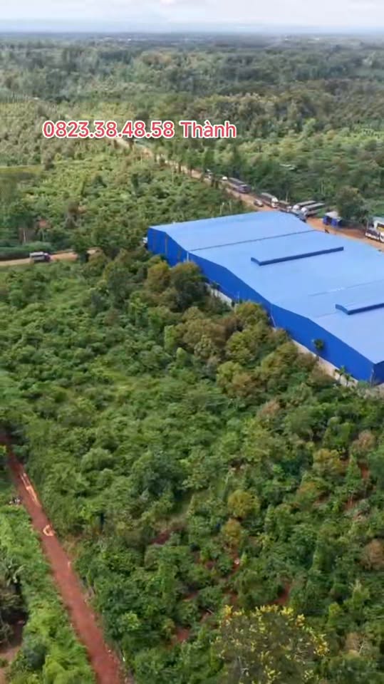 Đất nền 3000m² tại Km17 Ea Knuêc, Krông Pắc - Giá 9.3 tỷ, Pháp lý đầy đủ