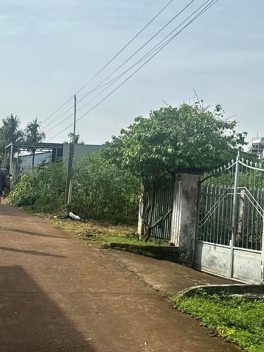 Đất nền mặt tiền đường Hồ Xuân Hương, Buôn Hồ 192m² - Tiềm năng đầu tư lớn!