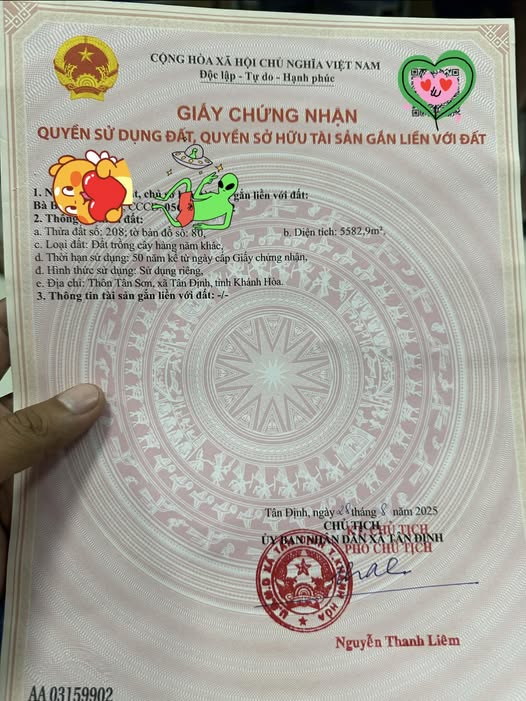 Đất nền 2 mặt tiền Tân Định, Ninh Hòa 5583m² - Tiềm năng đầu tư cực cao!