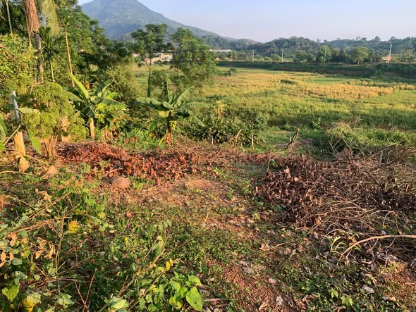 Đất nền Minh Quang Ba Vì 633m² giá 1 tỷ - View núi tuyệt đẹp!