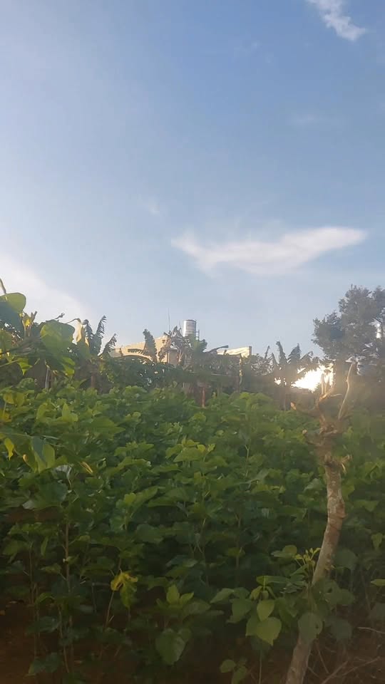 Đất thổ cư Lộc Quảng 100m² giá 550 triệu - Đầu tư sinh lời ngay!