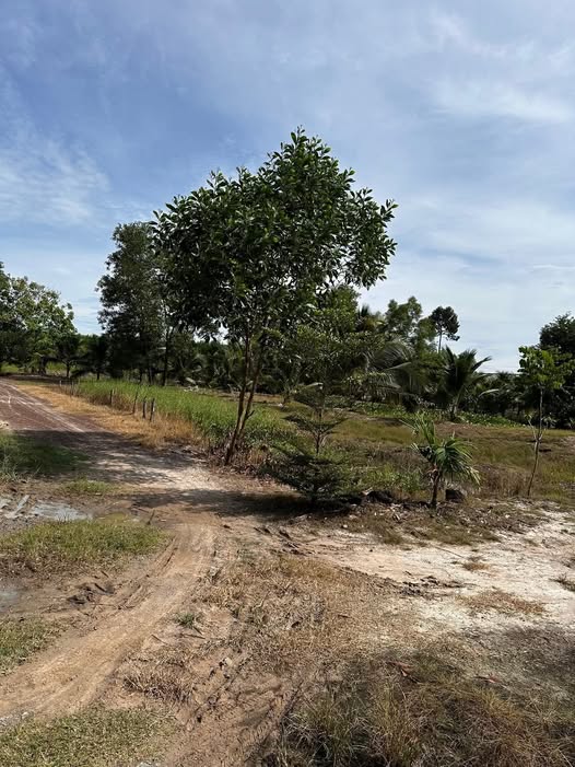 Đất nền Xuân Thành 2300m² giá 400 triệu - Cơ hội đầu tư hấp dẫn!