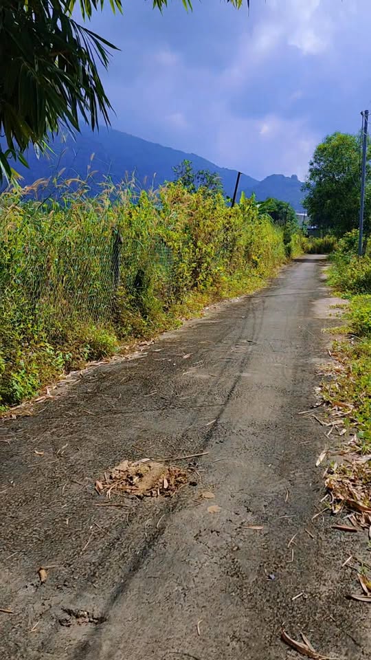 Đất nền Suối Cát, xã Xuân Lộc 120m² - Đầu tư lý tưởng với giá cực tốt!