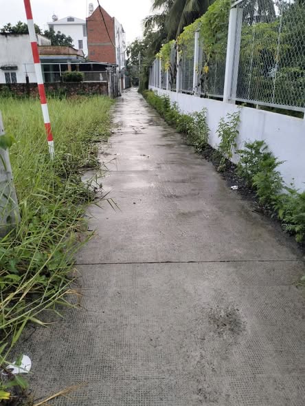 Đất nền xã Bình Chánh 388m² giá 2,3 tỷ - Lô góc, giao thông thuận tiện!