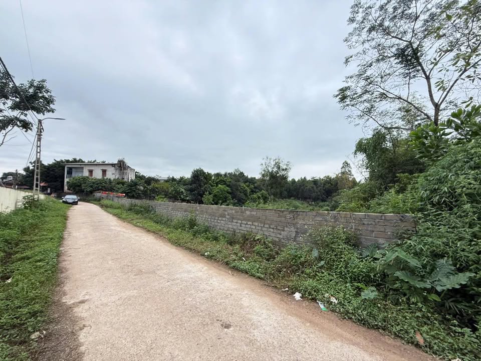 Đất nền Kim Sơn, Sơn Tây 2250m² giá 2.36 tỷ - Mặt tiền 30m, đầu tư sinh lời!