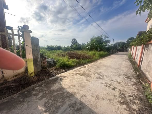 Lô đất Thôn Ngọc Tân, xã Thúc Kháng, 255m² - Đầu tư sinh lời hiếm có!