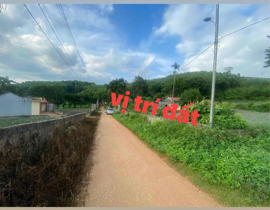 Đất nền Thành Tân, Thạch Thành 1680m² - Tiềm năng đầu tư lớn!