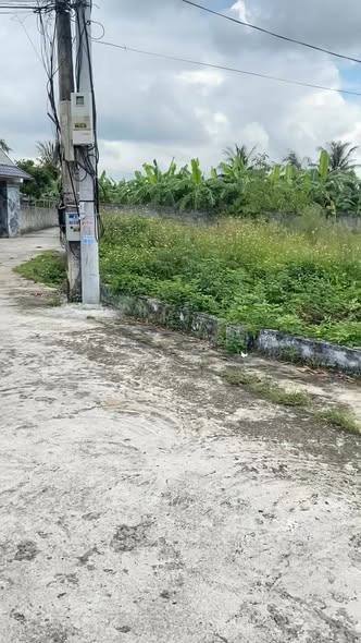 Đất nền Tứ Kỳ Hải Dương 250m² giá 800 triệu - Cơ hội đầu tư hiếm có!