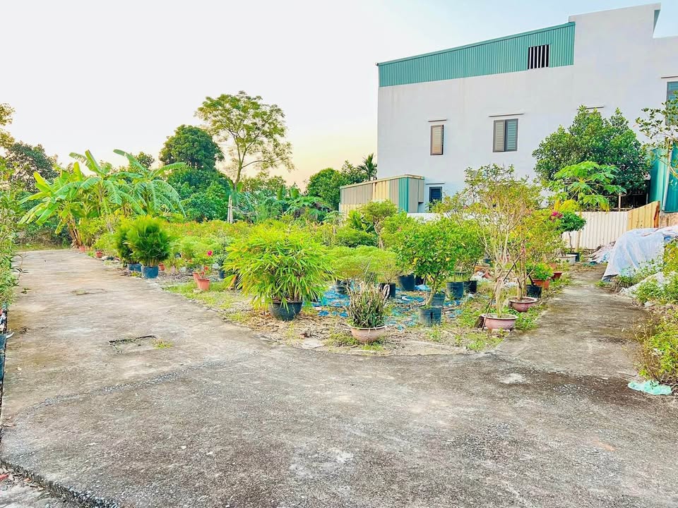 Đất nền phường Tân Hưng 43.80m² giá chỉ 400 triệu - Cơ hội đầu tư tuyệt vời!