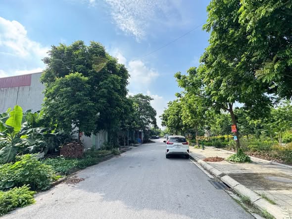 Đất nền Võ Cường Bắc Ninh 72m² giá 5 tỷ - View vườn hoa thoáng đẹp!