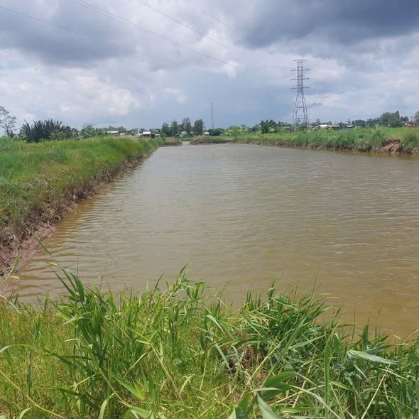 Đất nền An Thuận, Thạnh Phú 50400m² giá 1.54 tỷ - Cơ hội đầu tư hấp dẫn!