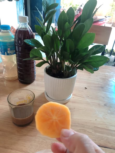 Đất nền An Định, Tứ Kỳ, Hải Dương 112m² giá 1 tỷ - Chính chủ bán gấp!