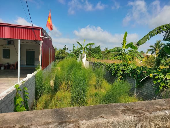 Đất thổ cư thôn Thanh Kỳ, An Thanh, Tứ Kỳ 148m² giá chỉ 1 tỷ - Cơ hội đầu tư tuyệt vời!