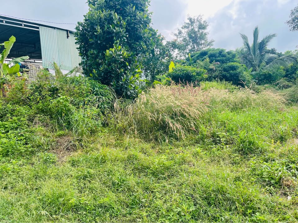 Đất nền Phường Nghĩa Trung, Đắk Nông 180m² giá 580 triệu - Đầu tư sinh lời ngay!