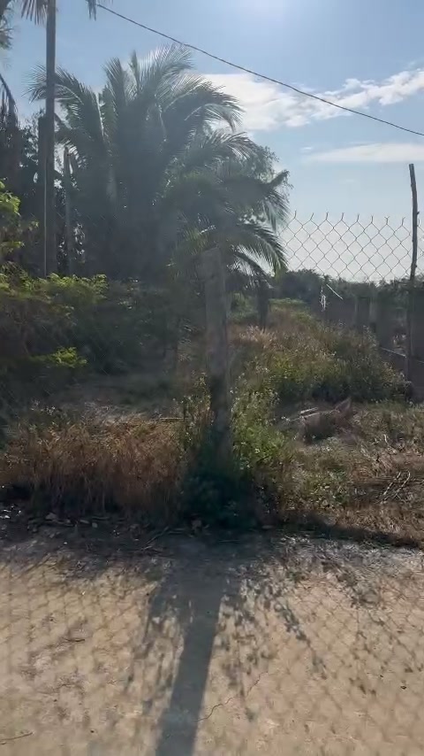 Lô đất 2.2 sào tại Ea Kao, Buôn Ma Thuột giá chỉ 2.39 tỷ - Tiềm năng đầu tư lớn!