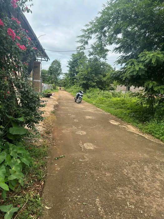 Đất thổ cư Ea Kao 522m² giá 920 triệu - Cơ hội đầu tư sinh lời!