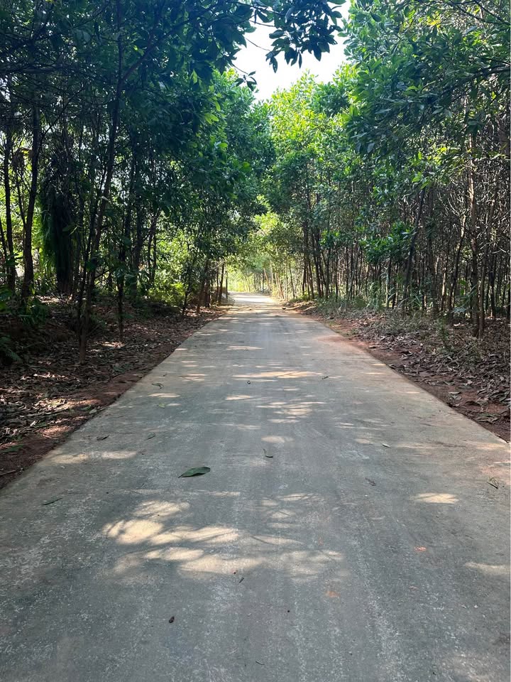 Đất nền Phù Ninh 380m² giá thỏa thuận - Hướng Tây Bắc, ô tô vào tận nơi!