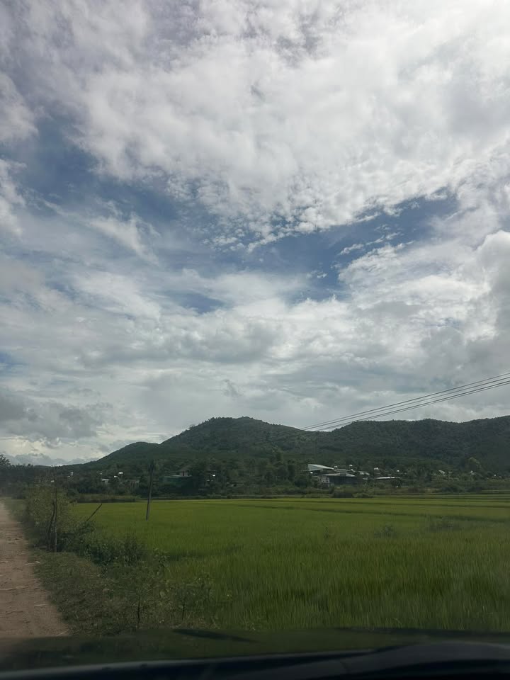 Đất nền phường An Phú, Pleiku 3600m² giá chỉ 520 triệu - Cơ hội đầu tư hấp dẫn!