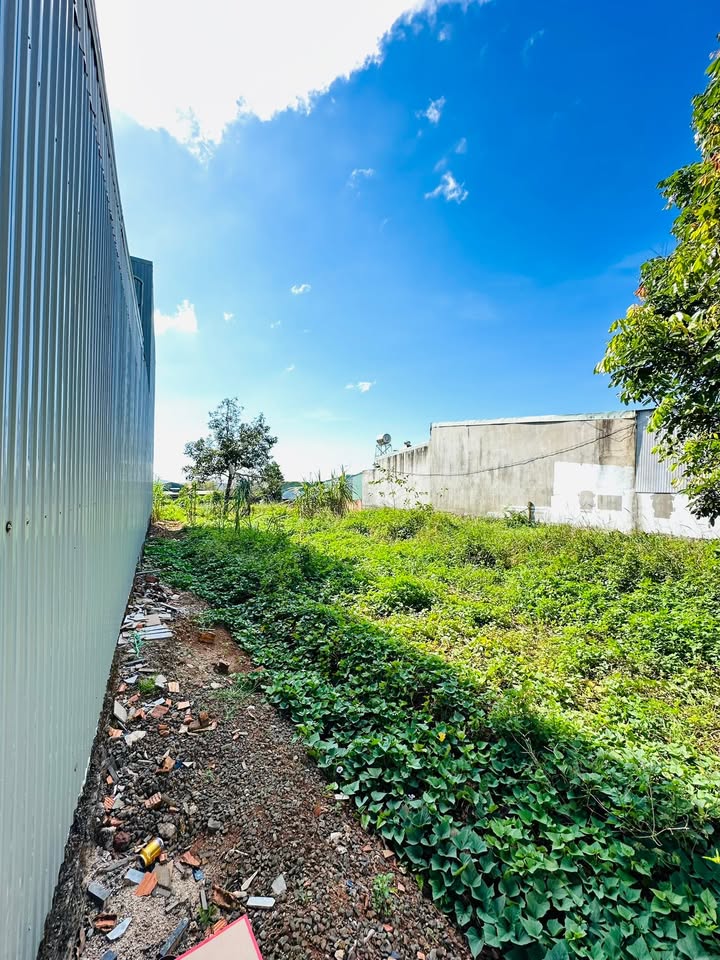 Đất mặt tiền Dã Tượng, Pleiku 125m² giá 1 tỷ - Cơ hội đầu tư tuyệt vời!