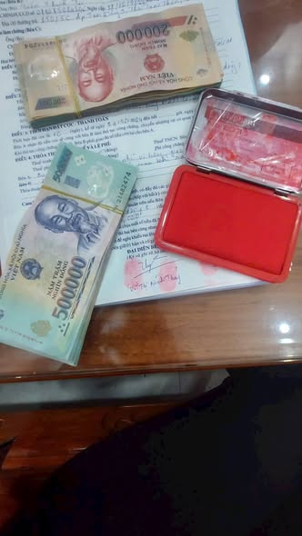 Đất dự án Bắc Đầm Vạc Vĩnh Yên 108m² giá thỏa thuận - Cơ hội đầu tư hấp dẫn!