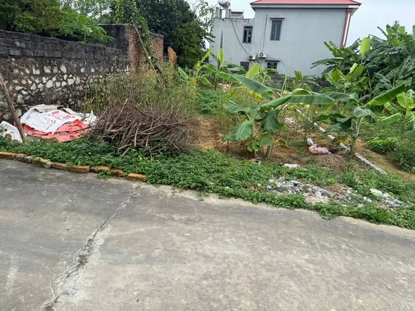 Đất nền Lan Mẫu, Lục Nam 150m² giá chỉ 9xx triệu - Đầu tư sinh lời ngay!